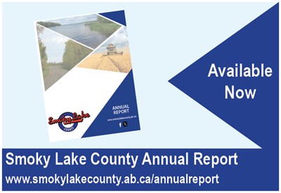 Annual_Report_Available