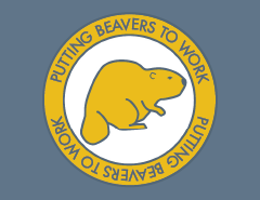 Beavers-Watershed.png