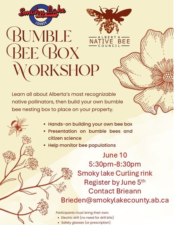 Bumble_Bee_Box_Workshop_poster_