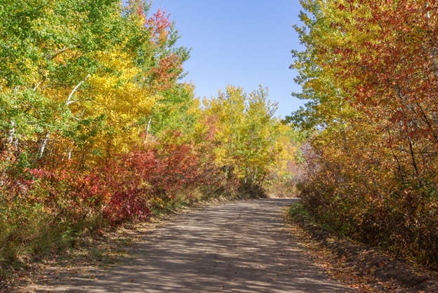 Victoria Trail Municipal Historic Area by Steve Ricketts