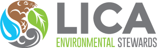 LICA.png